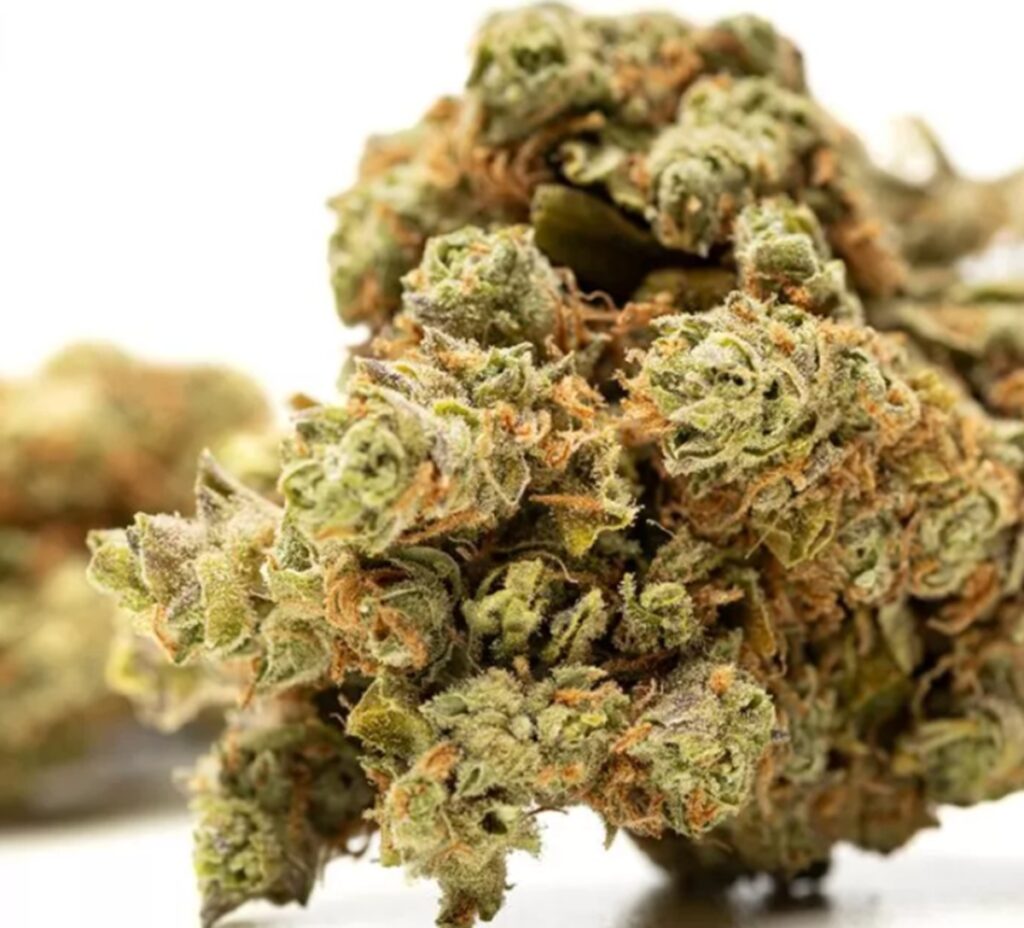 cbd