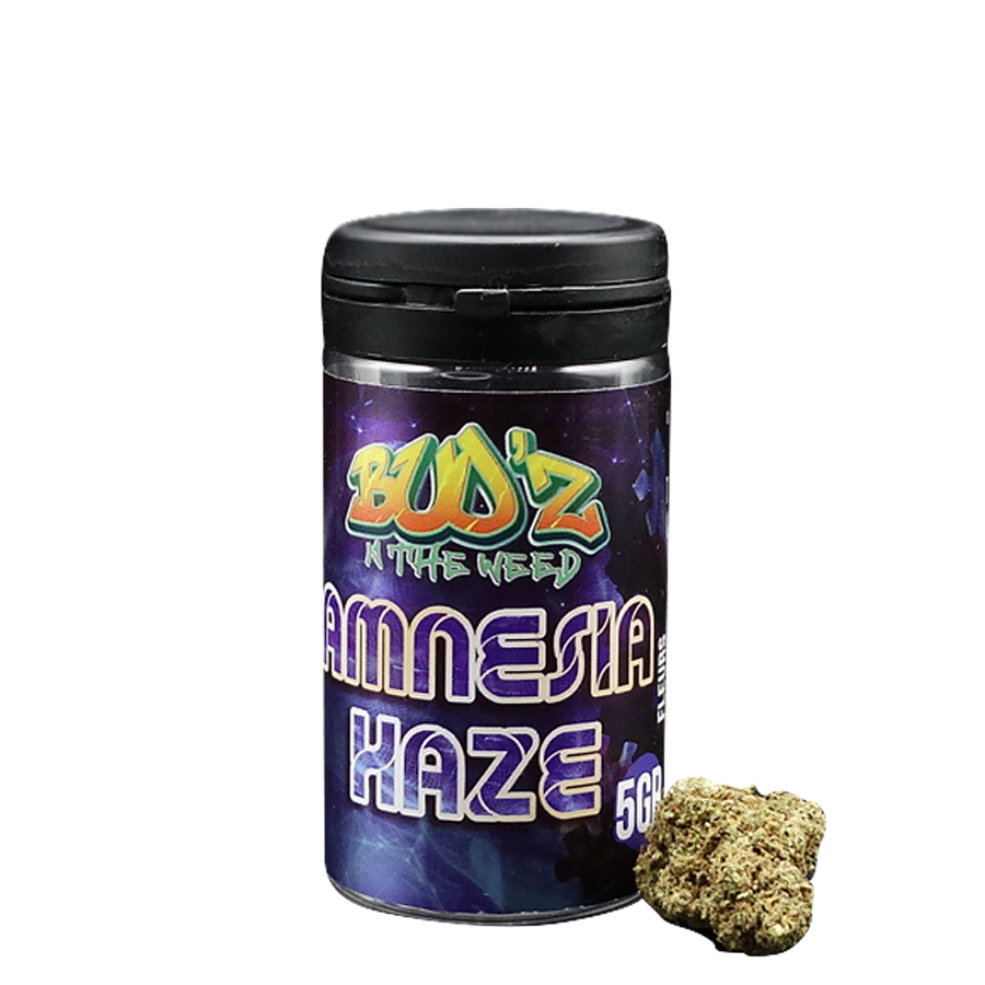 découvrez les principales différences entre les variétés amnesia haze et silver haze : effets, arômes et caractéristiques pour choisir celle qui vous convient le mieux.