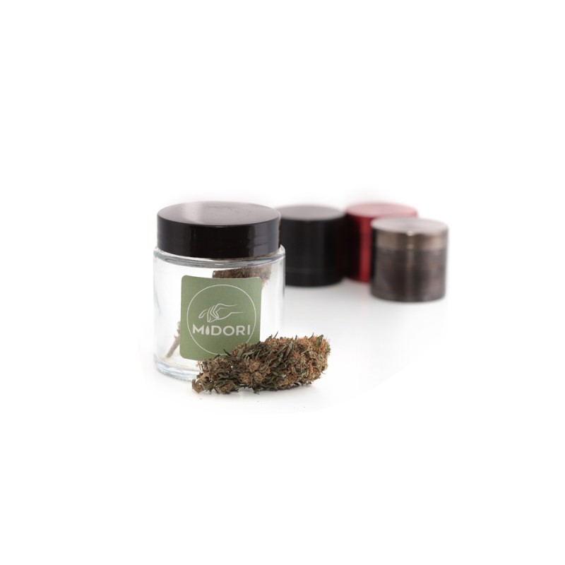 découvrez tout sur les terpènes de l’amnesia haze : arômes, bienfaits et profils aromatiques uniques de cette variété de cannabis populaire.
