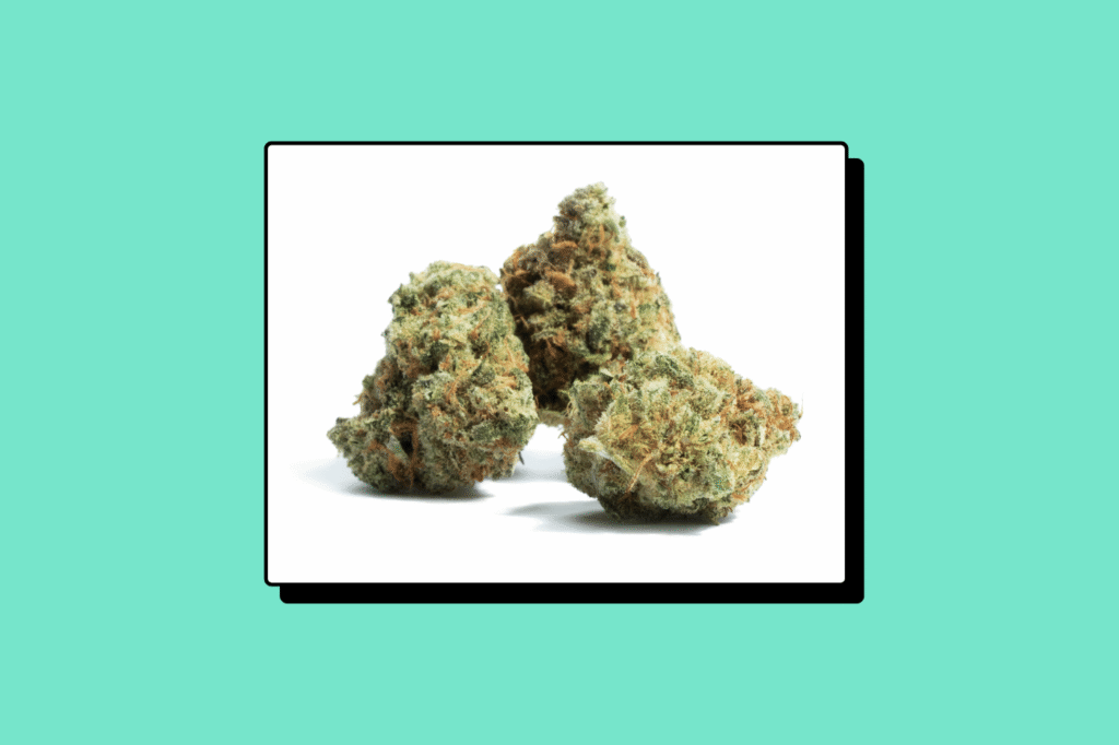 découvrez les effets d'amnesia haze, une variété de cannabis réputée pour ses sensations énergisantes, son effet euphorique et sa stimulation créative, idéale pour rester actif et positif.