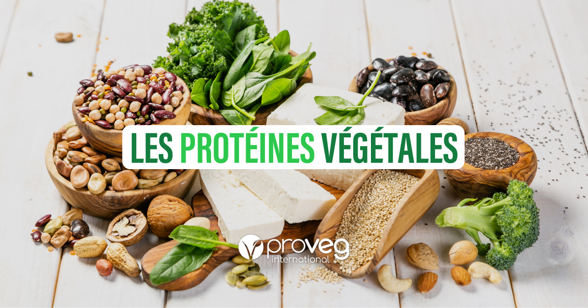 découvrez notre sélection d'aliments protéinés équilibrés pour une alimentation saine et nutritive, idéale pour maintenir votre énergie et votre bien-être au quotidien.
