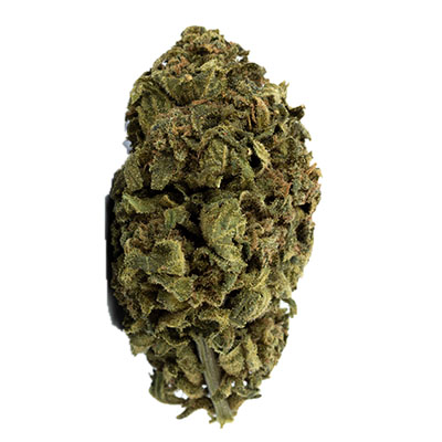 découvrez les effets et l'usage de amnesia haze cbd, une variété prisée pour ses propriétés relaxantes et ses bienfaits sur le bien-être.