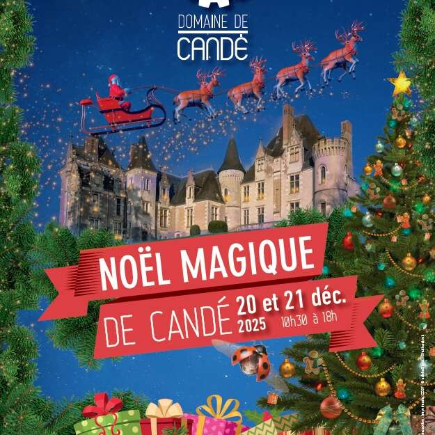 découvrez les meilleures activités à faire en indre-et-loire durant le week-end du 20-21 décembre : événements, sorties et loisirs pour petits et grands.