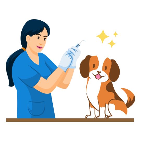 découvrez une assurance animaux offrant des soins abordables pour protéger la santé de votre compagnon sans vous ruiner.