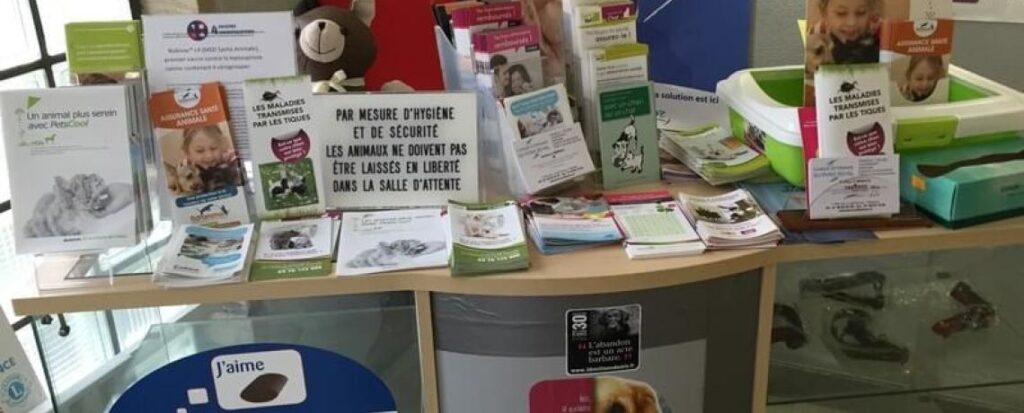 découvrez notre assurance animaux offrant des soins abordables pour protéger la santé de votre compagnon au meilleur prix.