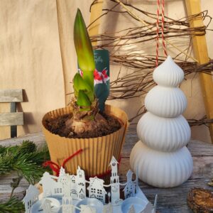 découvrez la nouvelle collection déco naturelle de lm végétal, alliant élégance et éléments végétaux pour un intérieur frais et harmonieux.