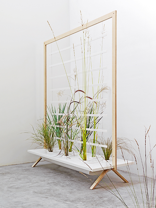 découvrez la nouvelle collection déco naturelle de lm végétal, alliant élégance et matériaux écologiques pour un intérieur apaisant et tendance.