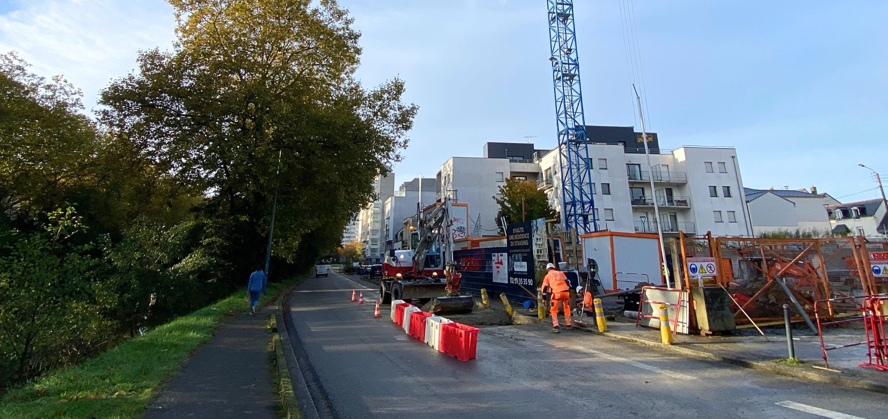 l'abattage d'un arbre à rennes provoque l'arrêt du projet de résidence senior, soulevant des enjeux environnementaux et sociaux dans la région.