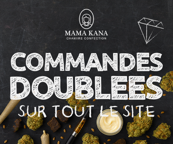 découvrez tout sur boom amnesia haze : effets puissants, saveurs uniques et conseils de culture pour maximiser votre récolte.