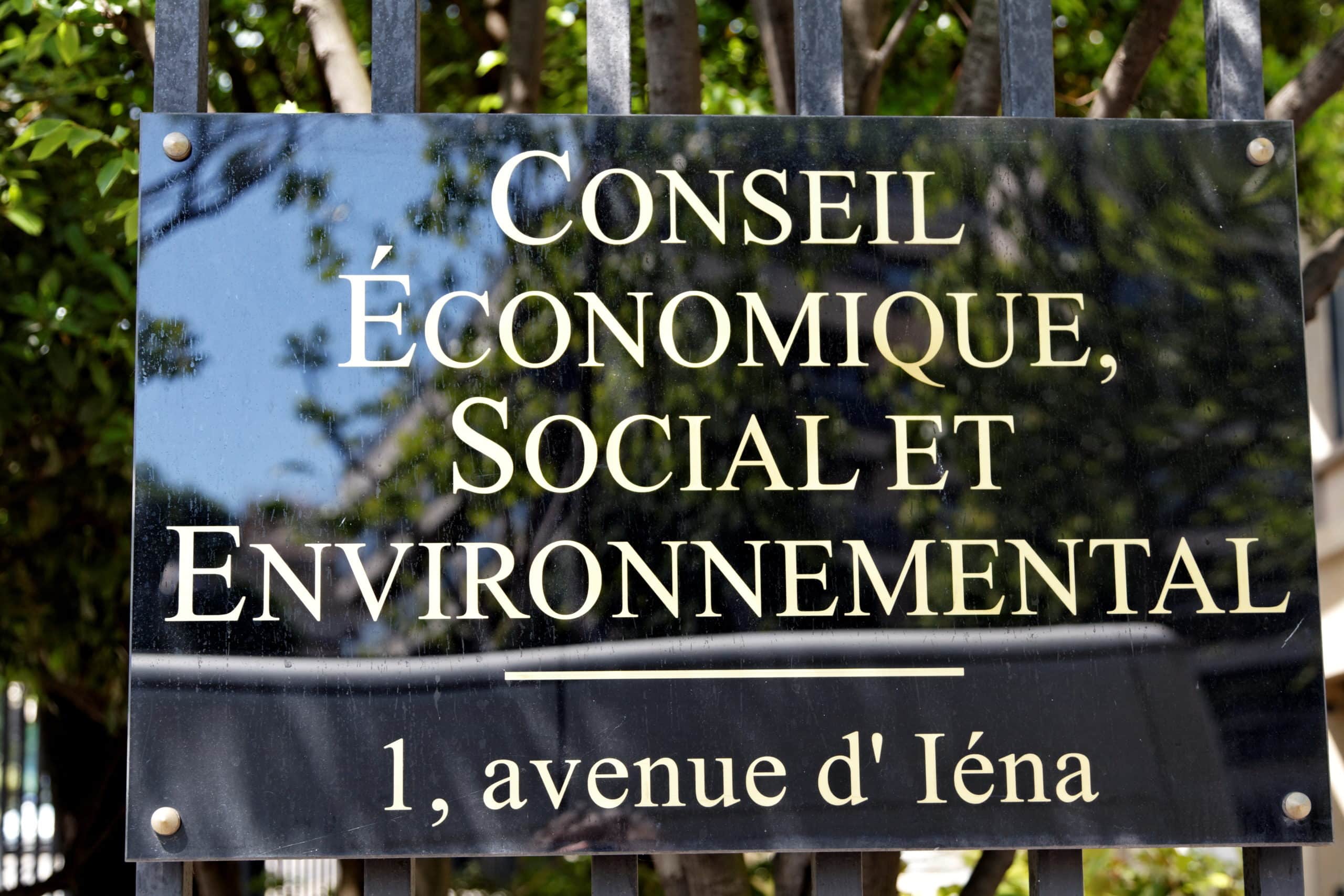 découvrez notre guide essentiel des conseils économiques et sociaux pour mieux comprendre et agir dans votre vie quotidienne et professionnelle.
