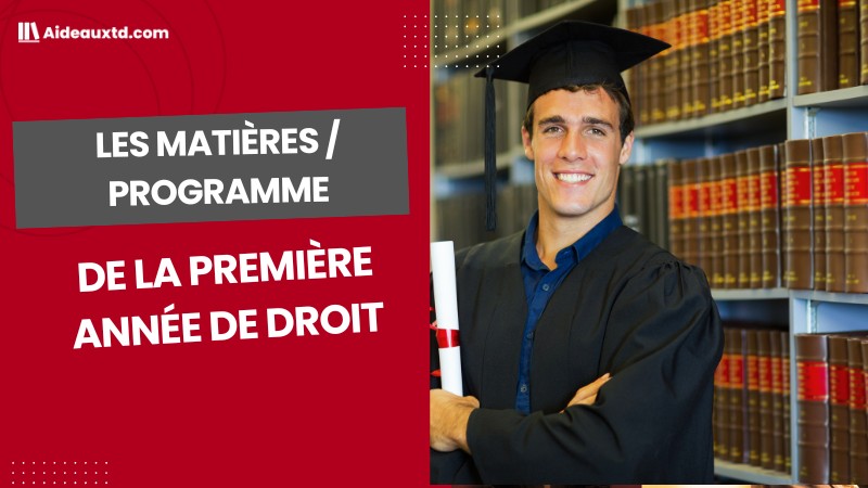découvrez notre guide complet des fondamentaux en économie et droit pour maîtriser les concepts clés et réussir vos études ou projets professionnels.