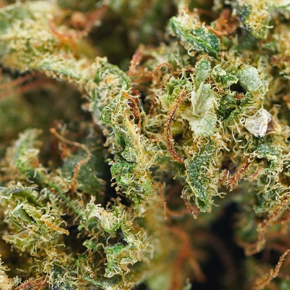 découvrez les effets bien-être du cbd amnesia haze, une variété reconnue pour ses propriétés relaxantes et apaisantes qui favorisent la détente et l'équilibre au quotidien.