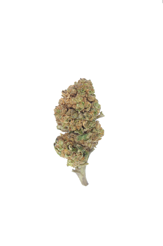 découvrez notre guide complet sur amnesia haze, une variété de cannabis réputée pour ses effets puissants et son arôme unique. apprenez tout sur sa culture, ses bienfaits et son utilisation.