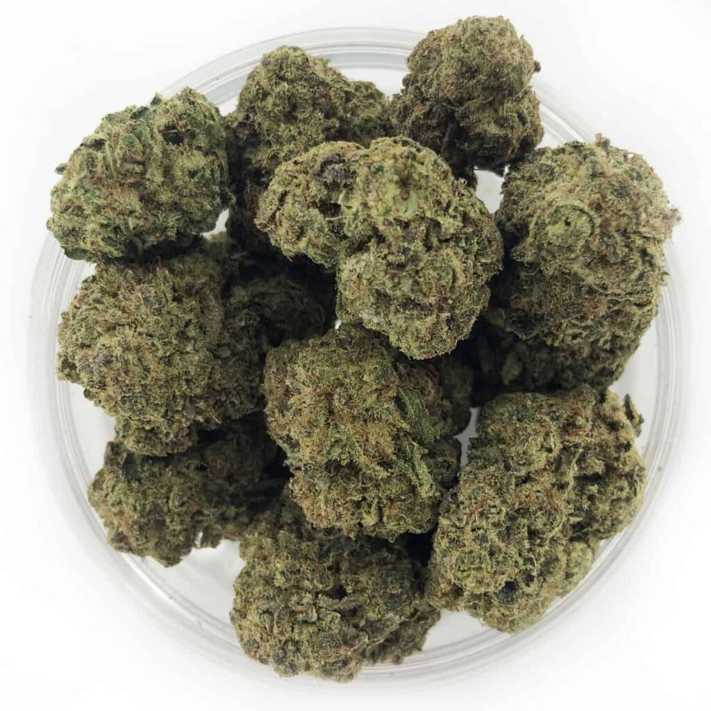découvrez la variété prisée jdc amnesia haze, renommée pour ses arômes intenses et ses effets puissants, idéale pour les amateurs de sensations authentiques.