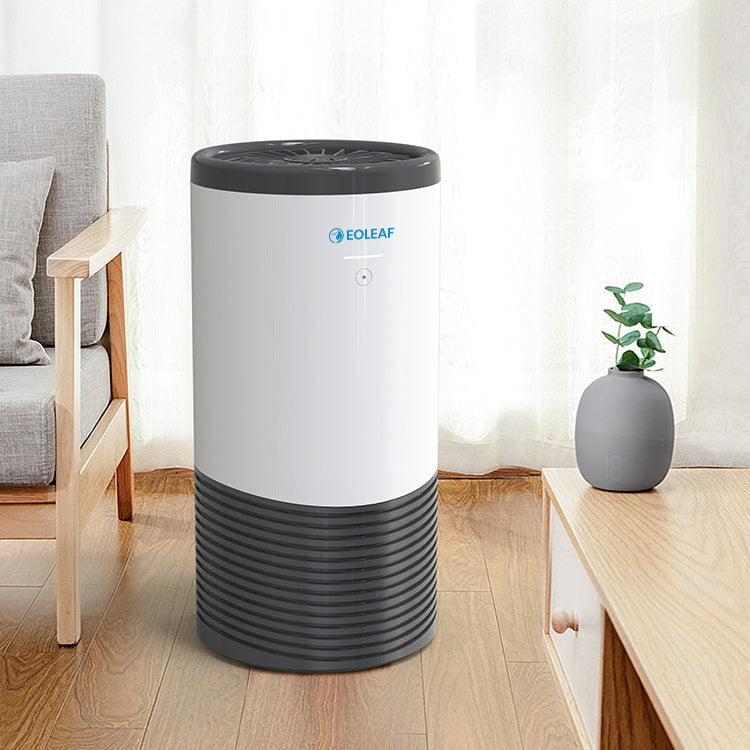 découvrez comment purifier l’air intérieur efficacement grâce à des remèdes naturels simples et écologiques pour un environnement sain et frais.