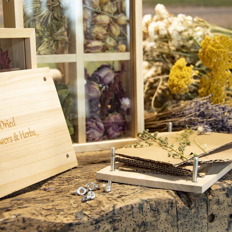 apprenez à sécher vos fleurs fanées pour créer une décoration unique et préserver les émotions qui y sont attachées. transformez vos souvenirs floraux en œuvres durables et élégantes.