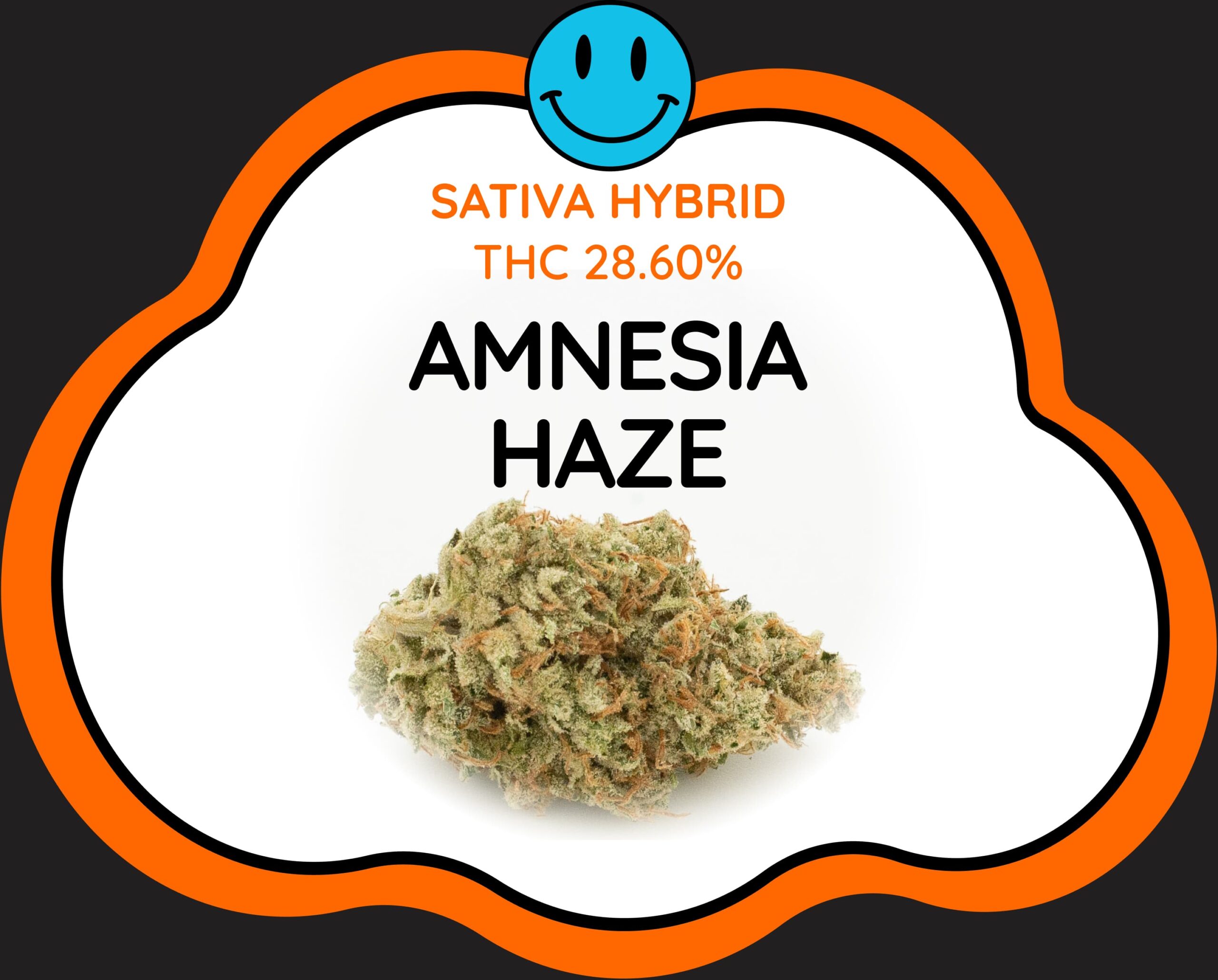 découvrez les meilleurs conseils pour la floraison et la récolte de la variété amnesia haze afin d'optimiser la qualité et le rendement de votre culture.